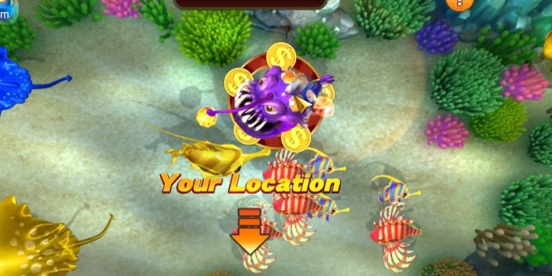jackpot fishing-এ পুরস্কার শিকারের টিপসে সঠিক মাছ নির্বাচন করতে হবে